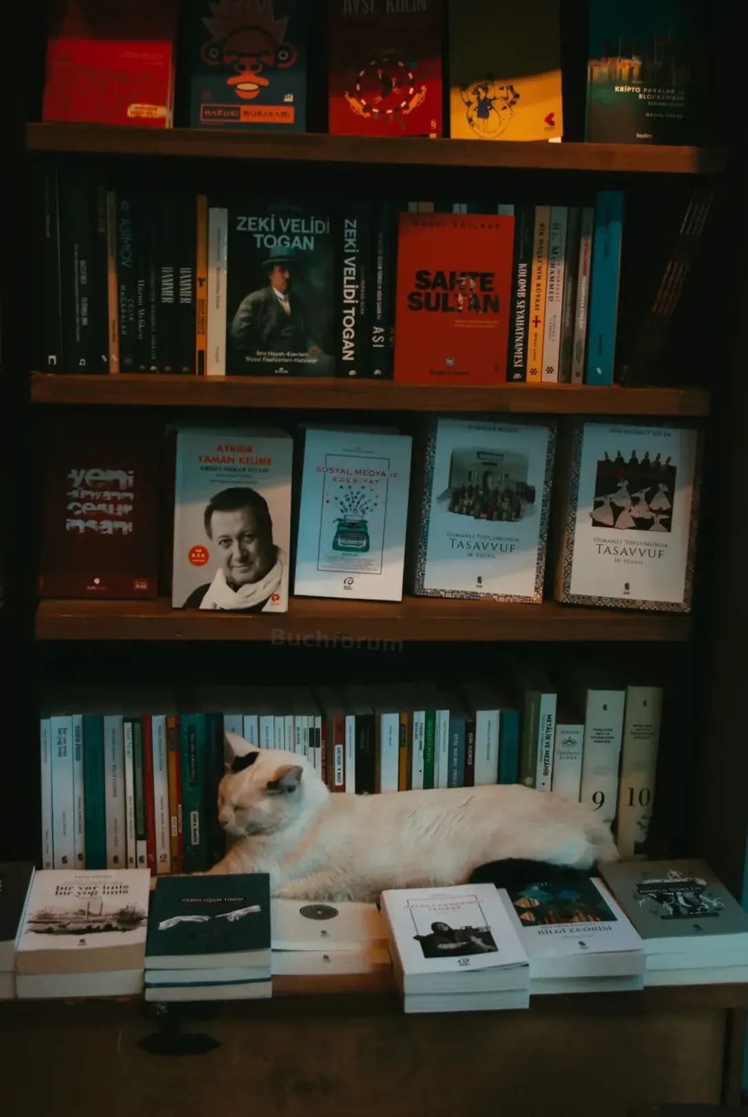 Buchforum 8